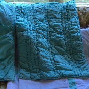 Pottery Barn Teen Pillow Shams in Color Pool (tealish green)